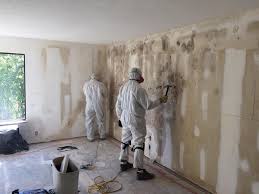 Fort Riley, KS Mold Removal & Remediation Company